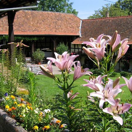 Le Gite Des Ecureuils Schalkendorf Luaran gambar
