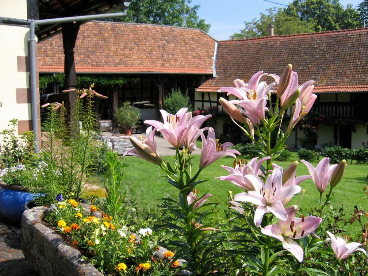Le Gite Des Ecureuils Schalkendorf Luaran gambar