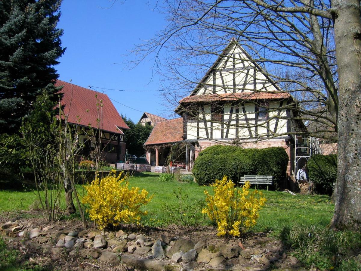 Le Gite Des Ecureuils Schalkendorf Luaran gambar